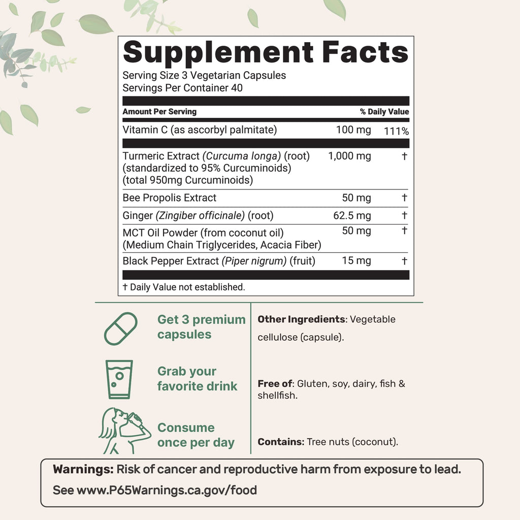 3-Pack Micro Ingredients Turmeric Curcumin 1000mg (120 Veg Capsules Each)