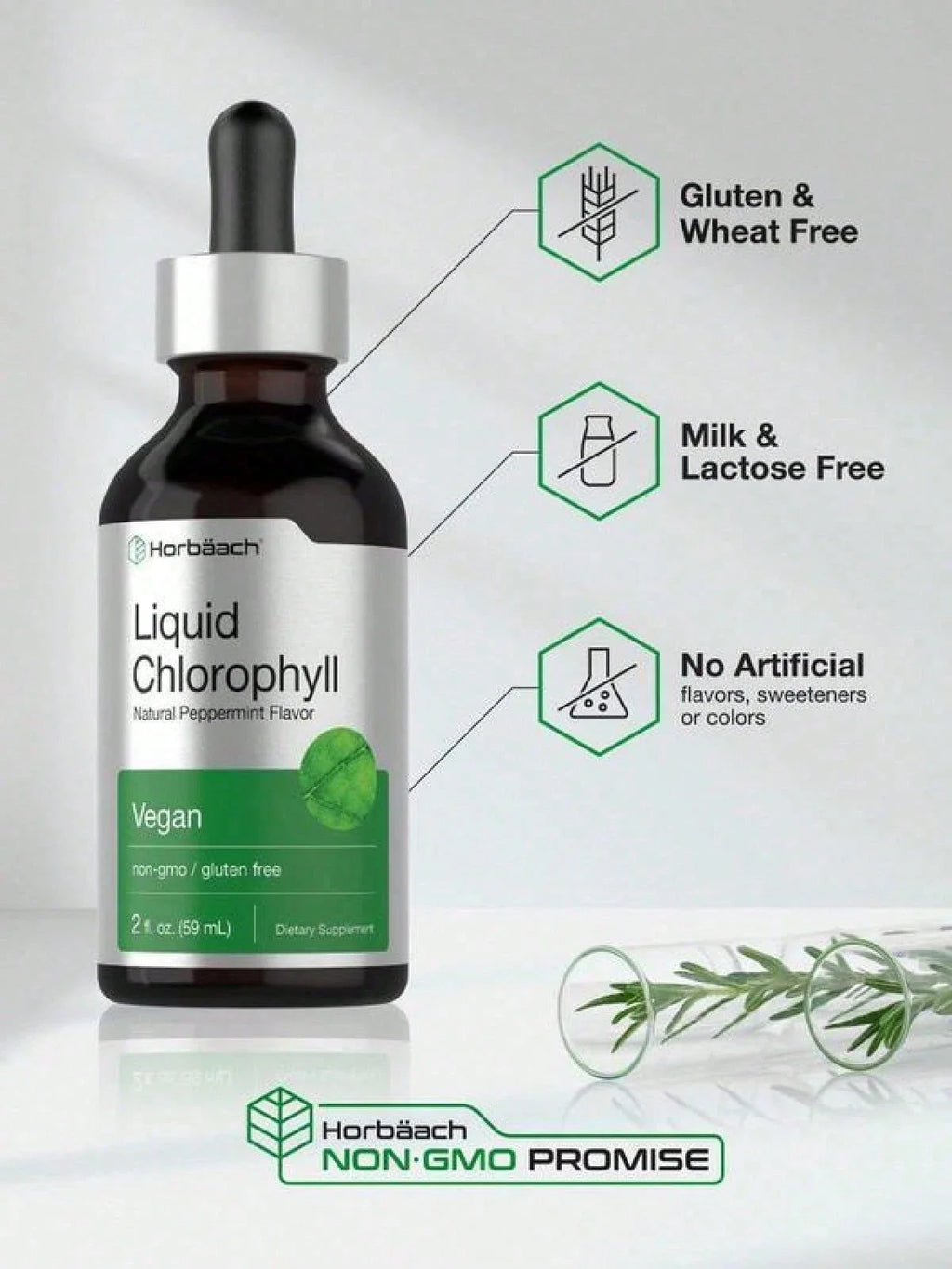 Horbäach Liquid Chlorophyll Drops| 2 Oz| Vegan, Non-GMO, And Gluten Free Formula| Natural Peppermint Flavor