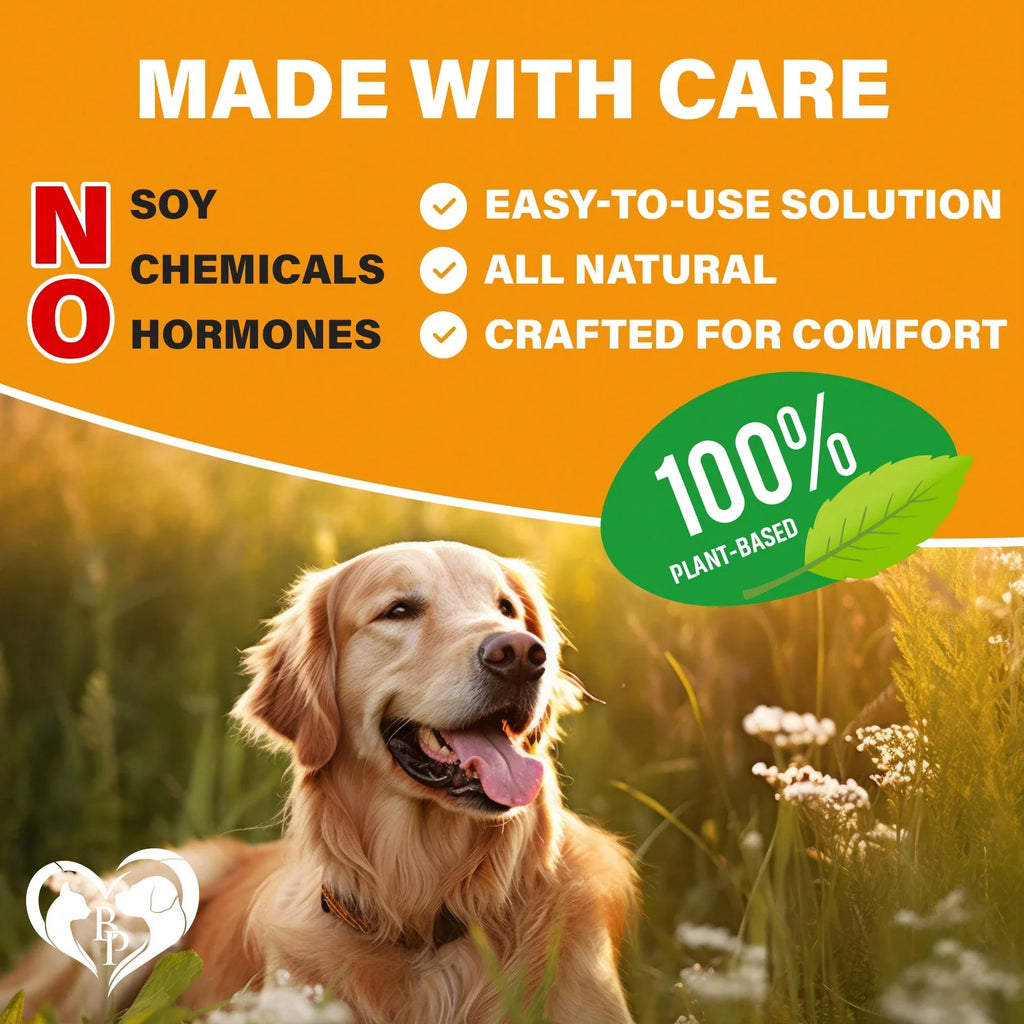 Beloved Pets Natural Skin & Coat Support + Multivitamin Complex Chicken Flavored Soft Chews For Dogs, 10-Oz