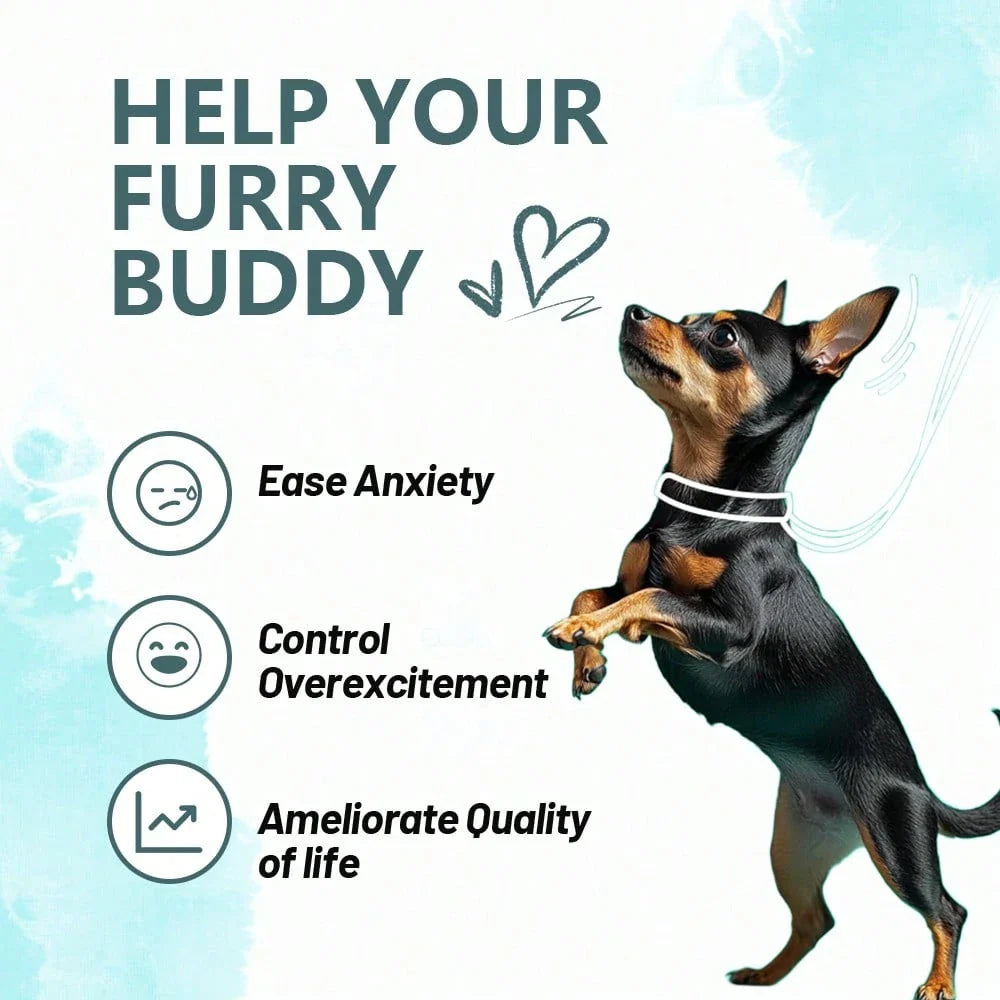 Calming Supplement Chews For Dogs Anxiety Relief - With Melatonin, ,Chamomile & L-Tryptophan - Stress Relief For Thunderstorms - Vet-Recommended Formula 120Ct(Beef)