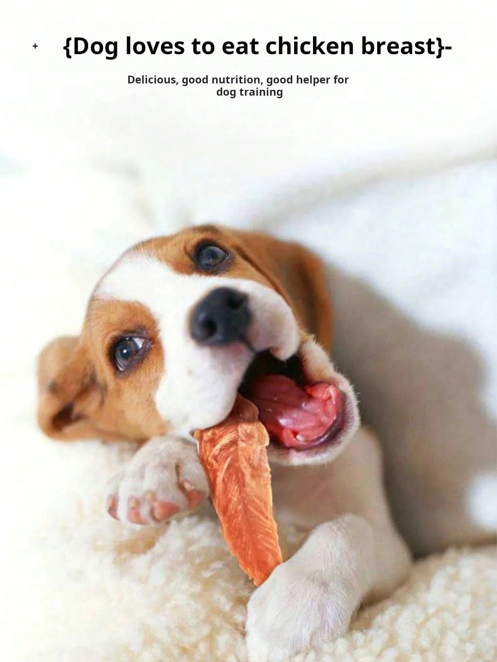 helety Pet Snacks-Chicken Jerky