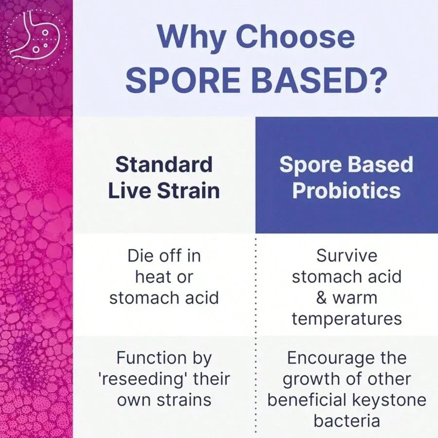 Microbiome Labs MegaSporeBiotic Probiotics For Women & Men - Spore-Based Probiotic For Gut Health & Digestive Support - Shelf-Stable, Travel-Friendly, Mens & Womens Probiotics (60 Capsules), For Women